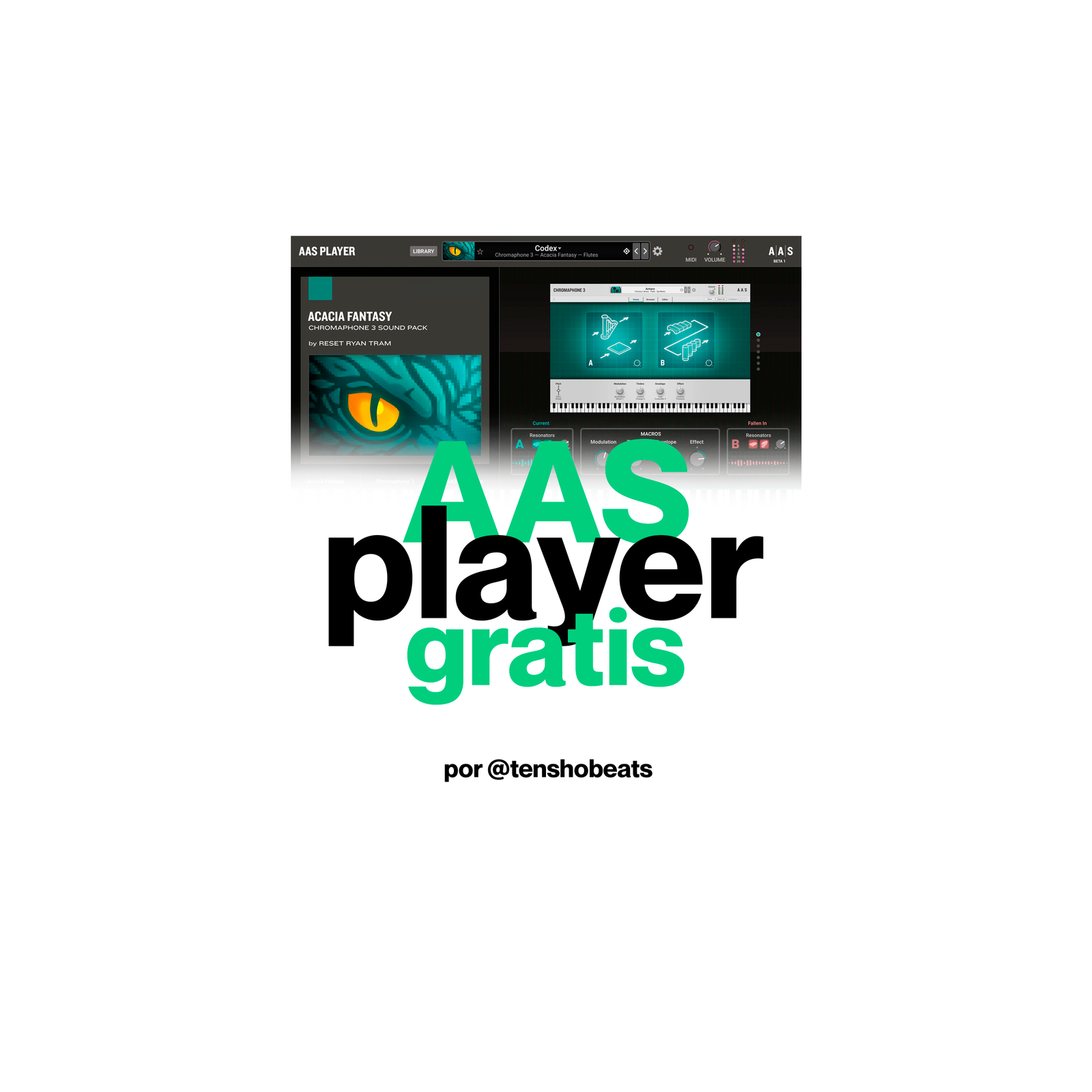 AAS Player GRATIS (+650 Presets y Sonidos)